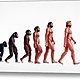 Stages in human evolution david gifford