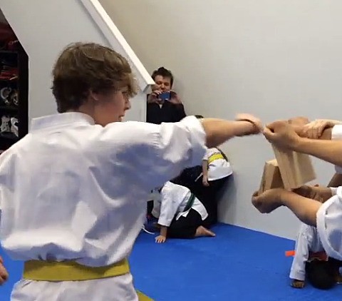 I Started Martial Arts