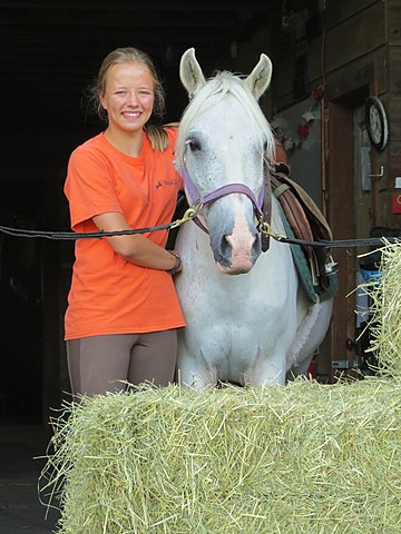 El 13 de julio de 2015, yo monté a caballo por primera vez. El caballo que montaba se llama Kasper, y el fue mi poni favorito hace 4 años y ahora también. Kasper es travieso y me caí de él muchas veces, pero Kasper siempre es mi caballo favorito.