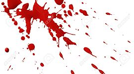 Timeline: La vie de Trévor