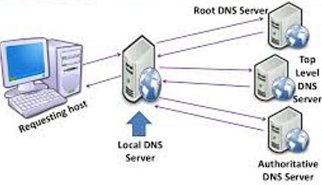 DNS (Domain Name System)