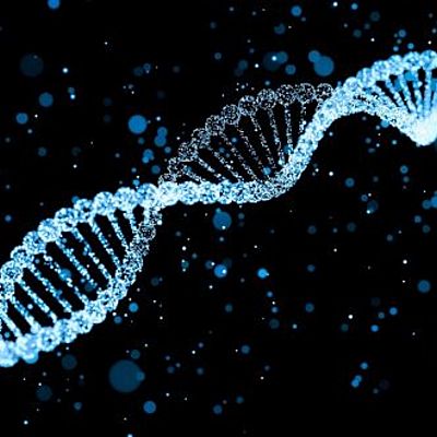 Timeline: Δομή DNA