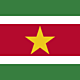 255px flag of suriname.svg