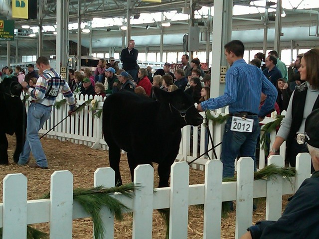 Hace dos meses que fui Indiana Beef Congress.