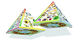 Timeline: Πυραμίδα Μεσογειακής Διατροφής