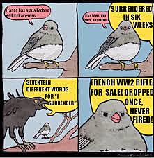 France surrenders and is occupied by Nazi Germany (Social)
