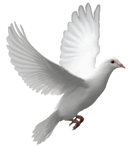 Θάνατος Hans Christian Andersen