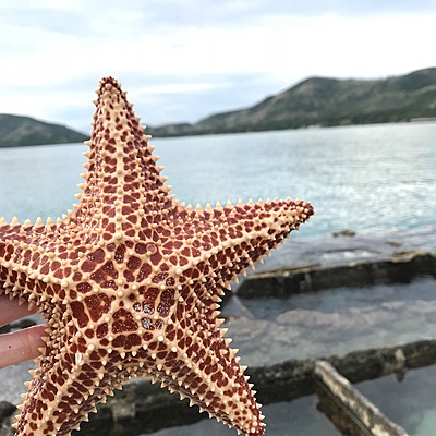 Timeline: 2nd Hour - Olivia Schumacher - Haiti