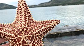 Timeline: 2nd Hour - Olivia Schumacher - Haiti