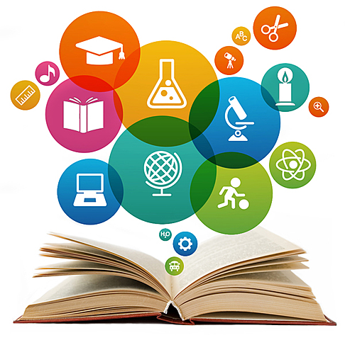 pobreza y educación dentro de la constitución.