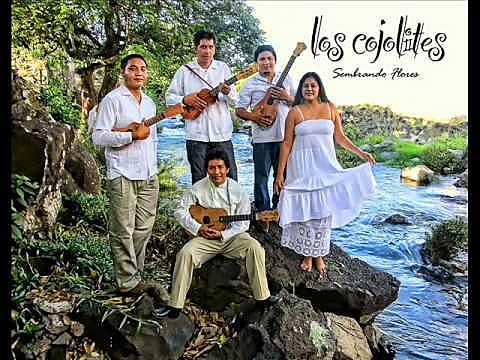 Los Cojolites