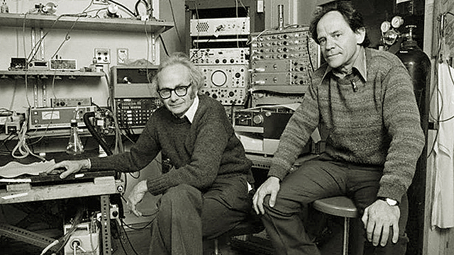 David Hubel y Wiesel