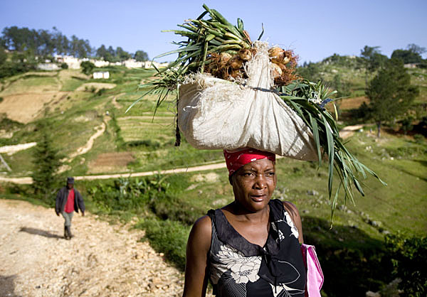 Government Announces Priorities