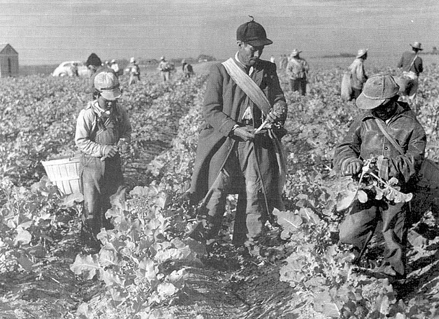 Y no se lo tragó la tierra