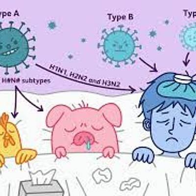 Timeline: INFLUENZA