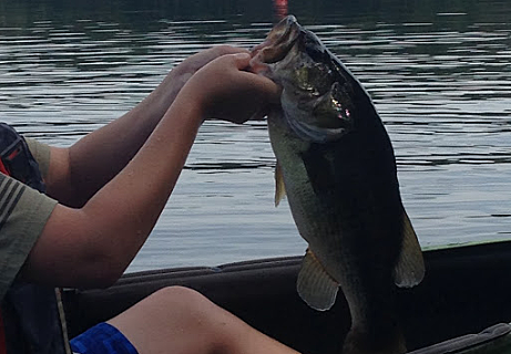 Empecé a amar la pesca