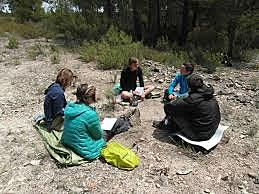 Terapia familiar afectiva experiencial