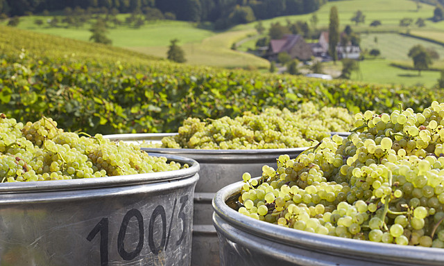 La mejora económica en Alemania