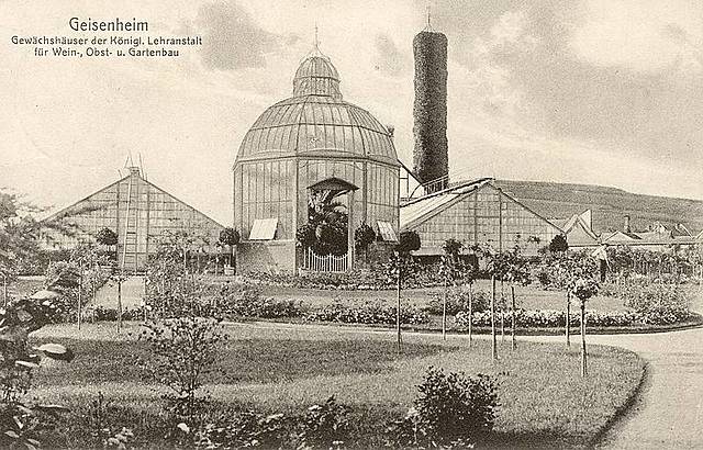 Primera universidad de enología en Alemania