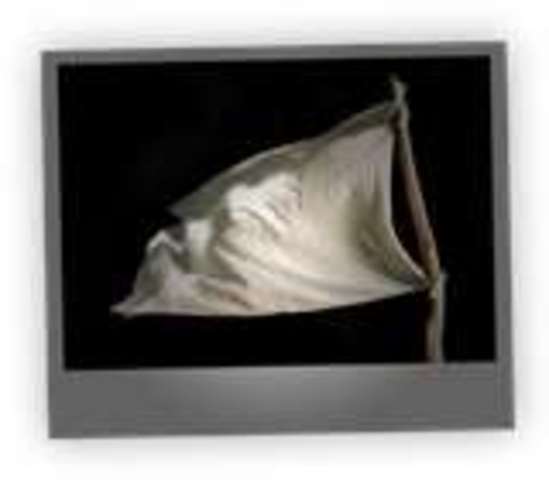 France surrenders to Germany