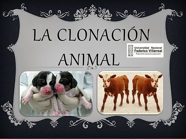 CREACIÓN DE LA CLONACIÓN ANIMAL