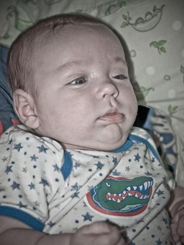 Watching My First Gator Game...