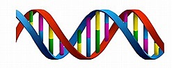 DNA