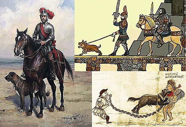 When they founded Bogota, which were the three characters brought horses, chickens and pigs