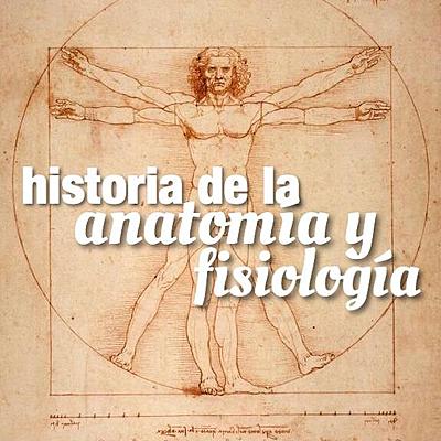 Timeline: Historia de la Anatomía y Fisiología