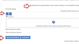 Timeline: Linha do tempo exemplo