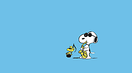 Timeline: Les négociations constitutionnelles par : Malina et Vivian_404