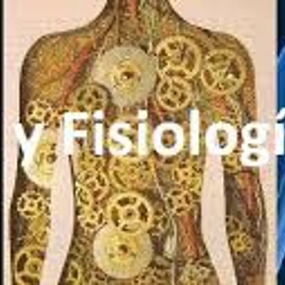 Timeline: Anatomia y Fisiologia