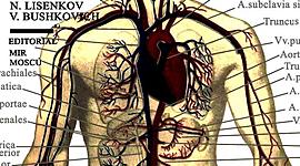 Timeline: Historia de la Anatomia