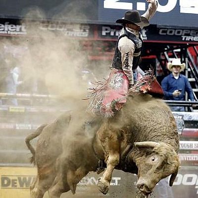 Timeline: Mason Lowe