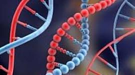 Timeline: ΤΟ ΧΡΟΝΟΛΟΓΙΟ ΤΗΣ ΒΙΟΛΟΓΙΑΣ