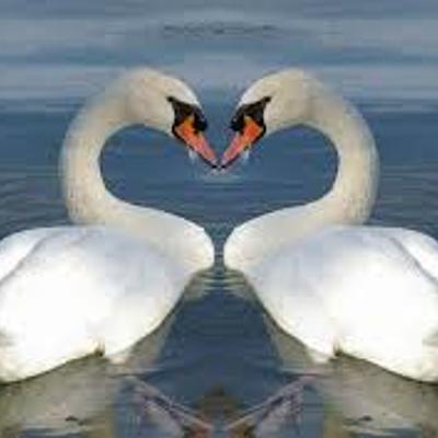 Timeline: MODERNISMO