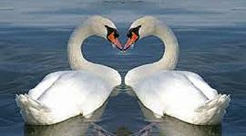 Timeline: MODERNISMO