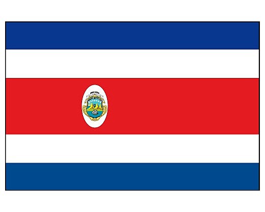 The flag was officially adopted