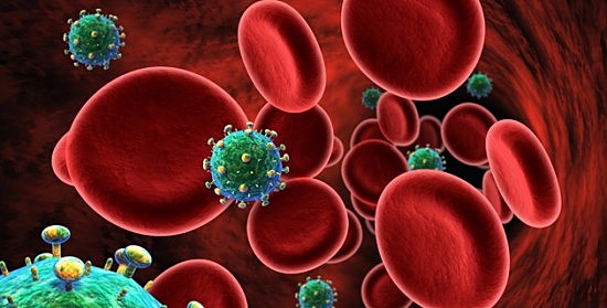 identificacio del virus causant de de la malaltia