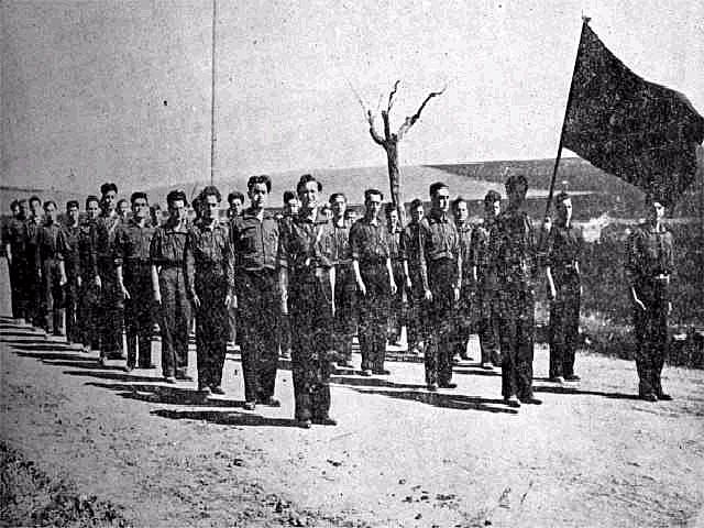 Fasci Italiani di Combattimiento