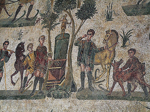 AMPLIACIÓN DE INTERESES COMERCIALES