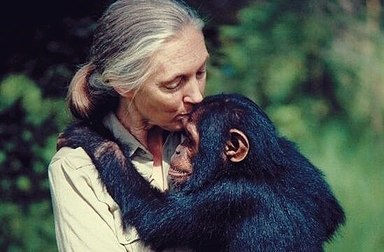 Jane Goodall