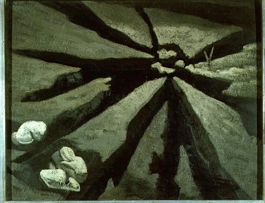 Tierra y excrementos