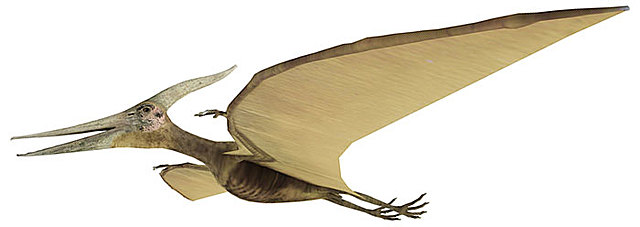 Pterosaures