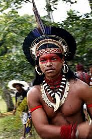 Indigenous population before colonization