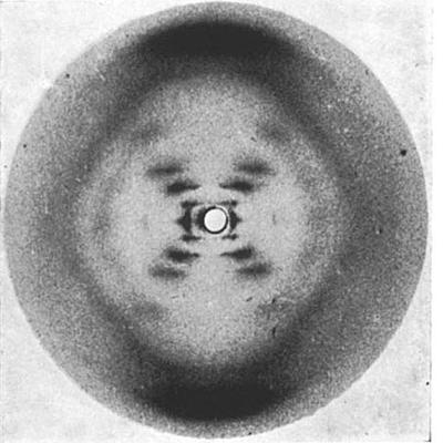 Timeline: Historia de la Genética.