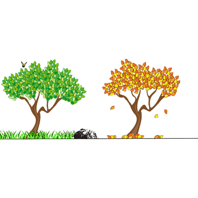 Timeline: Le 4 Stagioni