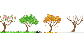 Timeline: Le 4 Stagioni