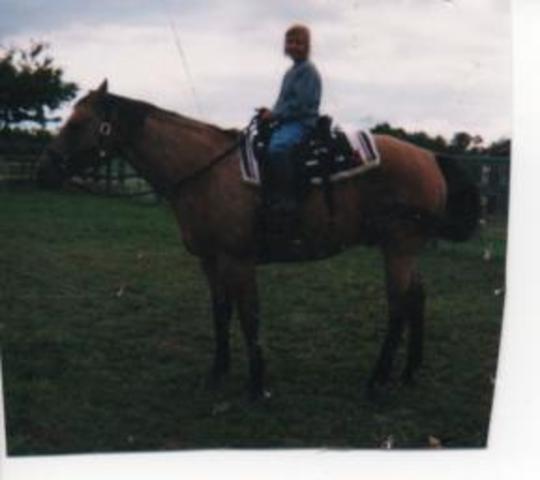 Hace nueve años que recibì mi primero caballo.