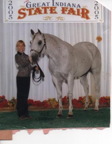 Hace seis años que yo monstè mi caballo a la State Fair.
